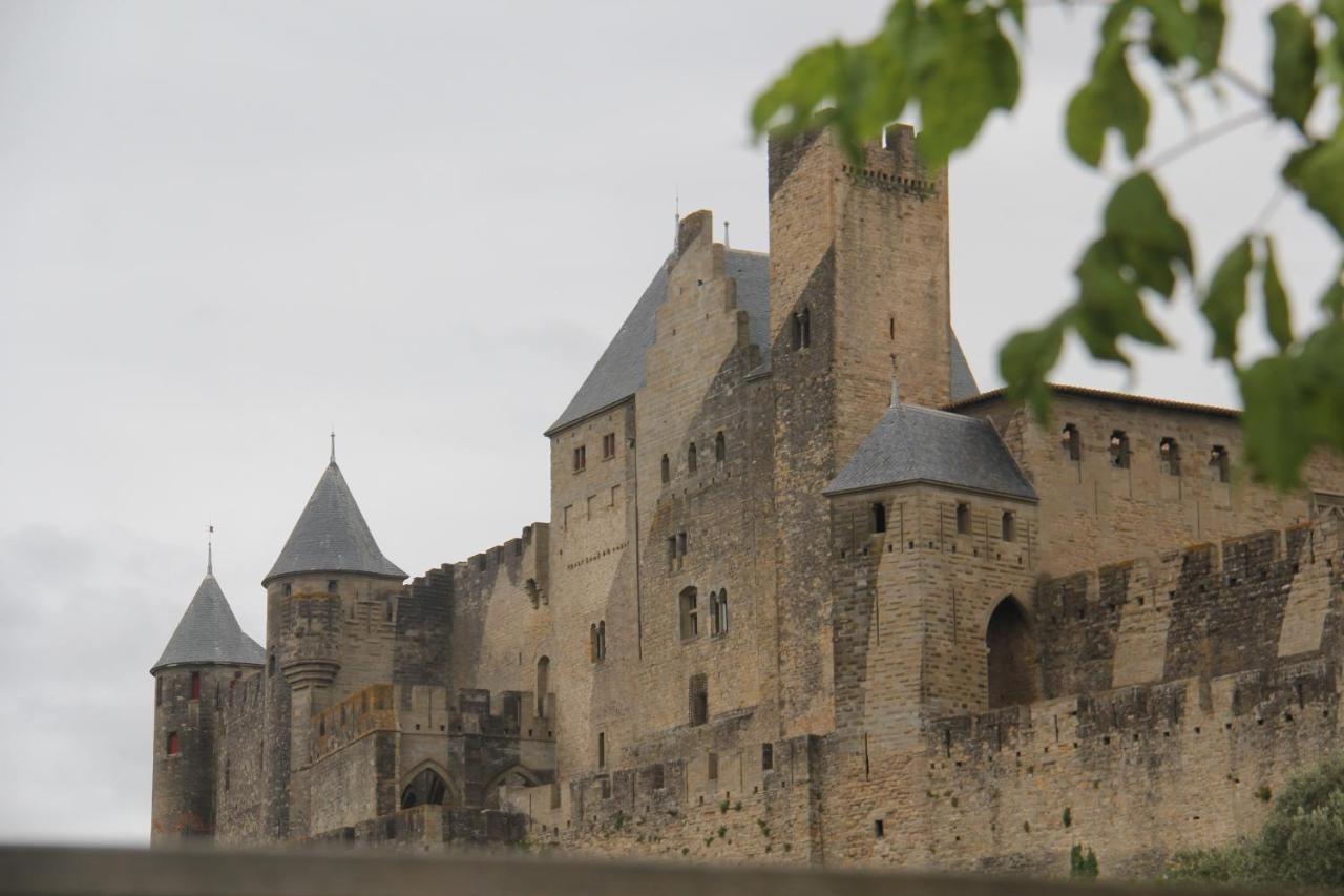 Chez Rosa Villa Carcassonne Luaran gambar