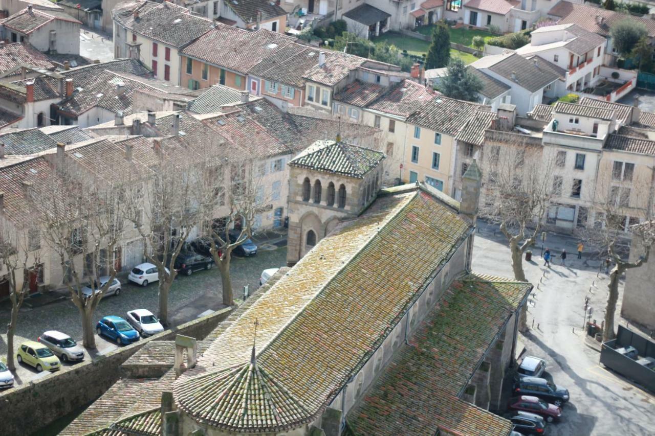 Chez Rosa Villa Carcassonne Luaran gambar